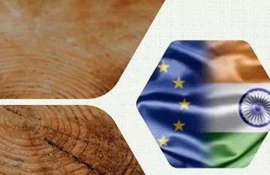 Retour sur le webinaire : "opportunités commerciales entre l'Inde et l'UE dans le domaine des produits industriels du bois"