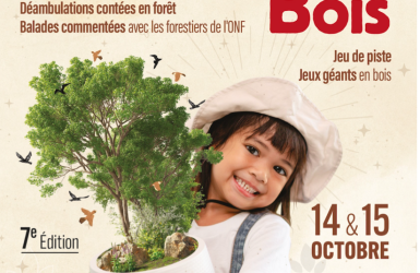 La 7ème édition du Festival de la Forêt et du Bois se tiendra les 14 et 15 octobre 2023 au Château de la Bourdaisière (37)
