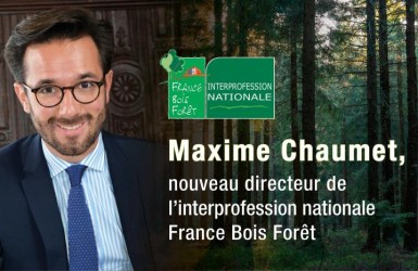 Maxime Chaumet, nouveau directeur de l’interprofession nationale France Bois Forêt