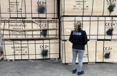 Arrestations aux Pays-Bas concernant les importations de contreplaqué de bouleau russe