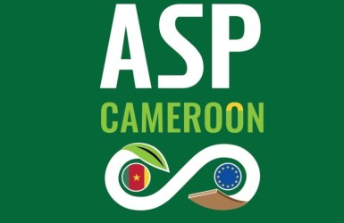 Invitation à un voyage professionnel au Cameroun : s'engager pour une économie verte avec le projet ASP-Pacte Vert