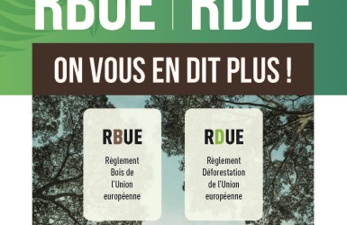 RDUE : Tests de conformité au système d'information européen
