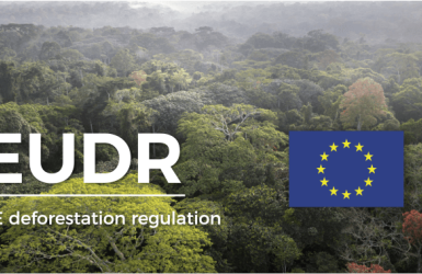 Le Règlement Déforestation de l’UE reporté de 12 mois