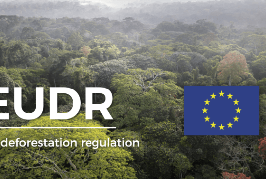 RDUE : analyse des nouvelles questions de la FAQ de la Commission Européenne sur le Règlement de l'UE relatif à la Déforestation