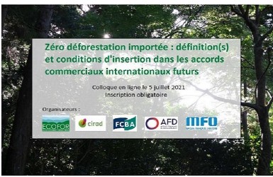 Le GIP Ecofor organise un colloque "Zéro déforestation importée"