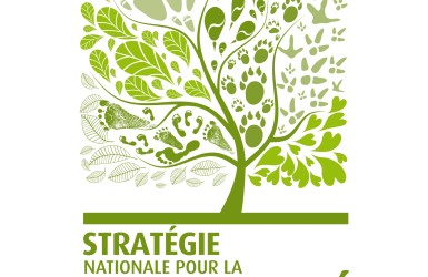 Publication du projet de stratégie nationale pour la biodiversité