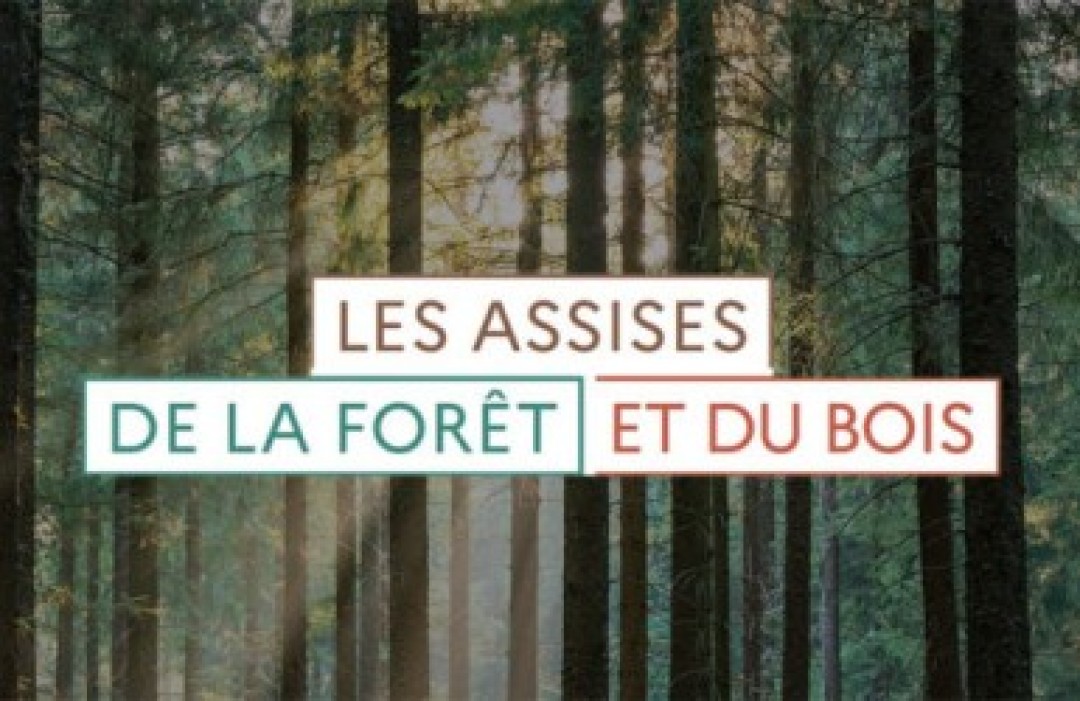 Forêts françaises : le plan d'action des Assises de la forêt et du bois