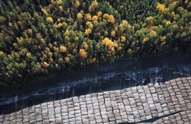 Earthsight dépose des plaintes contre 31 entreprises de l'UE suite à la confirmation de l'utilisation de bois russe par leurs fournisseurs de contreplaqué de bouleau