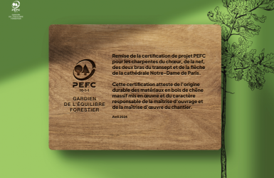 Reconstruction de Notre-Dame : Certification PEFC pour la durabilité du bois utilisé