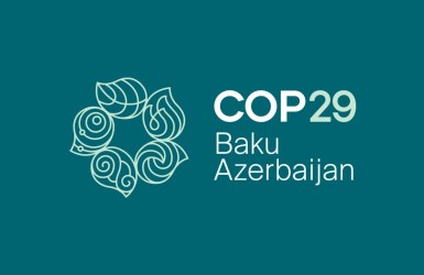 La prochaine COP20 CITES se tiendra en Ouzbekistan du lundi 24 novembre au vendredi 5 décembre 2025