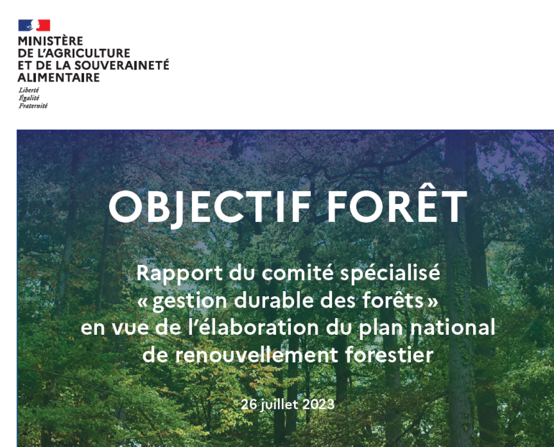 « Objectif Forêt » : le rapport du comité spécialisé « gestion durable ...