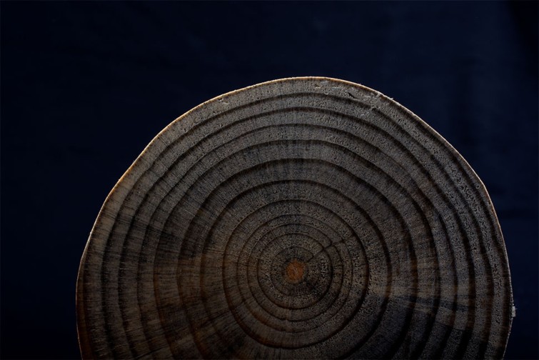 Le béton de bois, un matériau écologique !